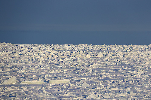 North of the Arctic Circle on the Arctic Ocean, Utqiagvik Barrow, Alaska